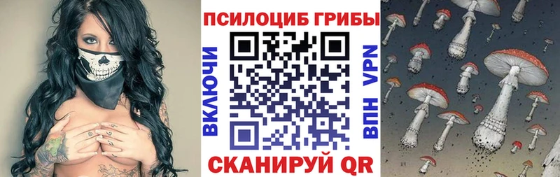 Галлюциногенные грибы мицелий  Купить закладки  Златоуст 